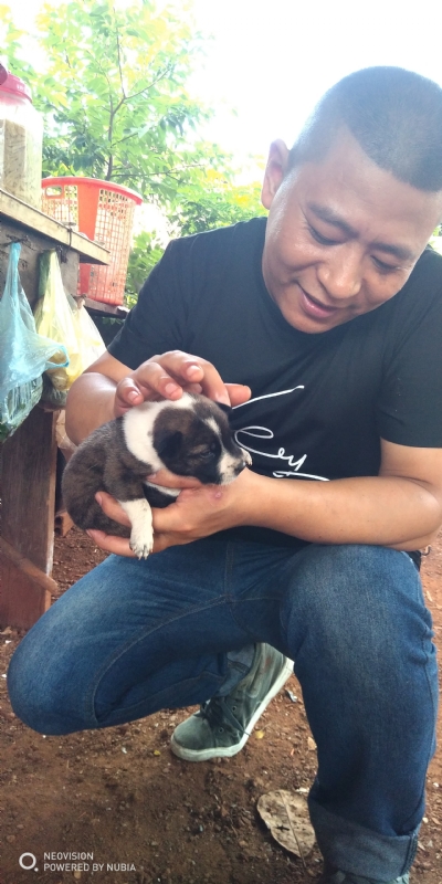 深圳相亲的第一张照片--福建交友中心