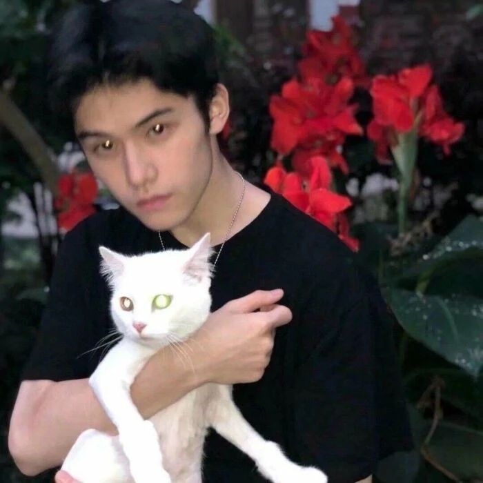 爷的魅力你不懂的第一张照片--福建交友中心