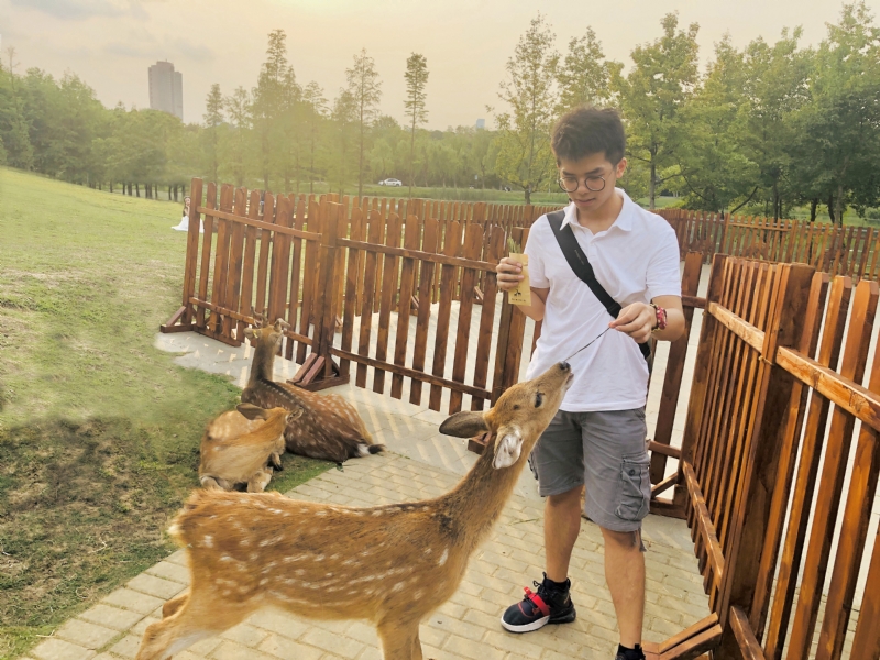 米兰的小铁匠的第一张照片--福建交友中心