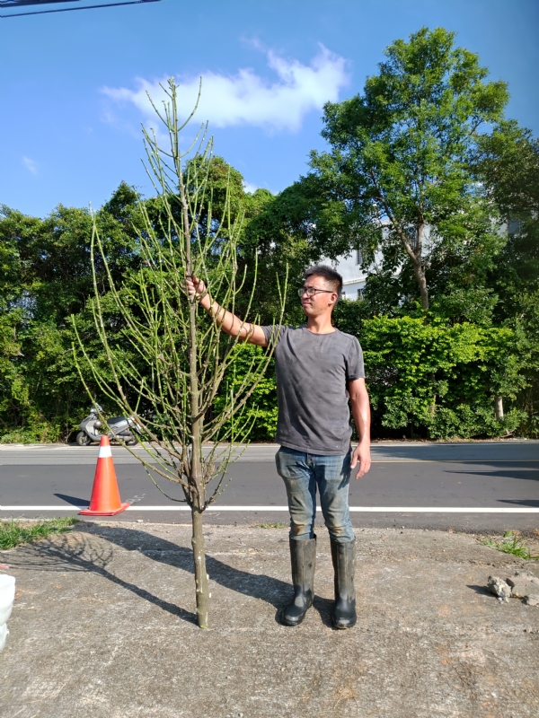 jeff的第二张照片--福建交友中心